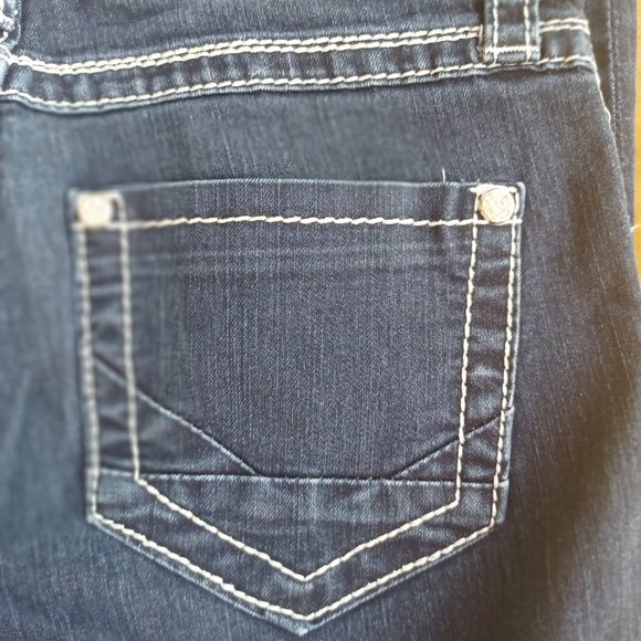 Daytrip Lynx Skinny Jean-Size 26S - Picture 9 of 15